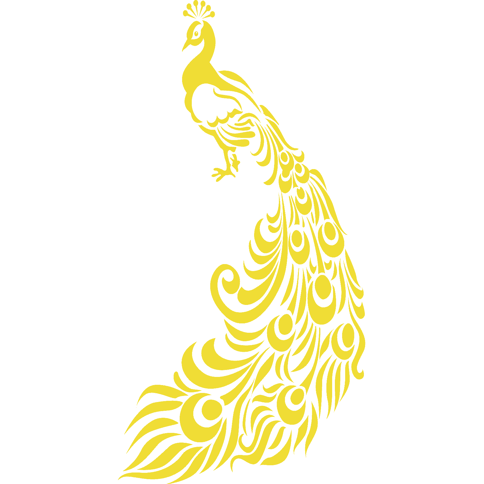 Ornate Peacock With Feathers Bird Wall Sticker Decal Transfer Home Matt Vinyl UK - Picture 13 of 36