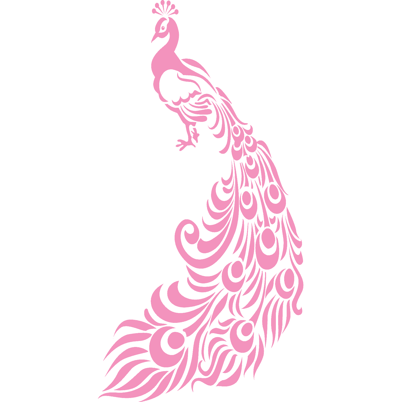 Ornate Peacock With Feathers Bird Wall Sticker Decal Transfer Home Matt Vinyl UK - Picture 17 of 36
