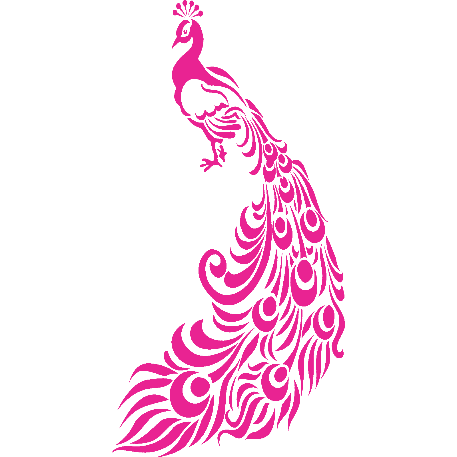 Ornate Peacock With Feathers Bird Wall Sticker Decal Transfer Home Matt Vinyl UK - Picture 18 of 36