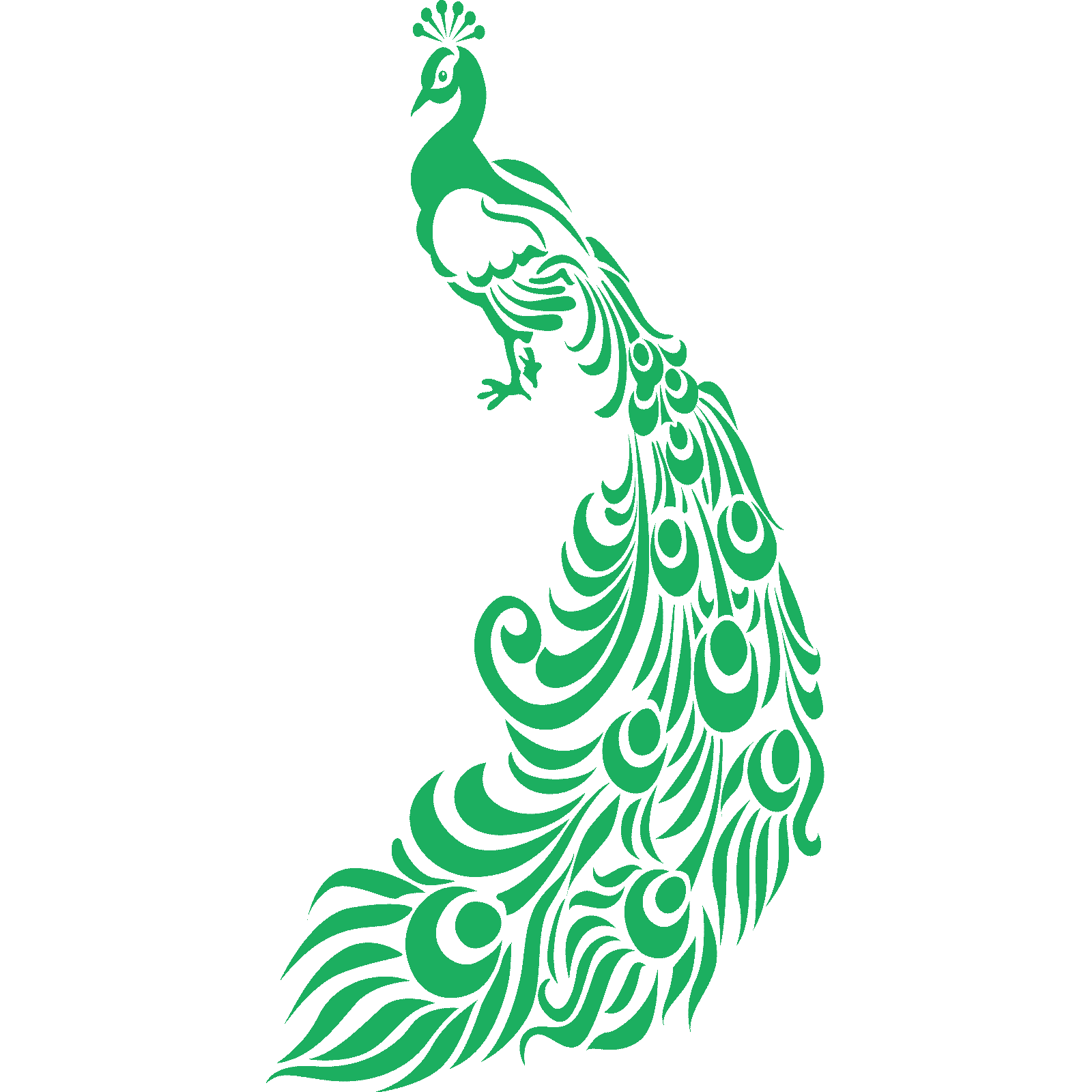Ornate Peacock With Feathers Bird Wall Sticker Decal Transfer Home Matt Vinyl UK - Picture 26 of 36