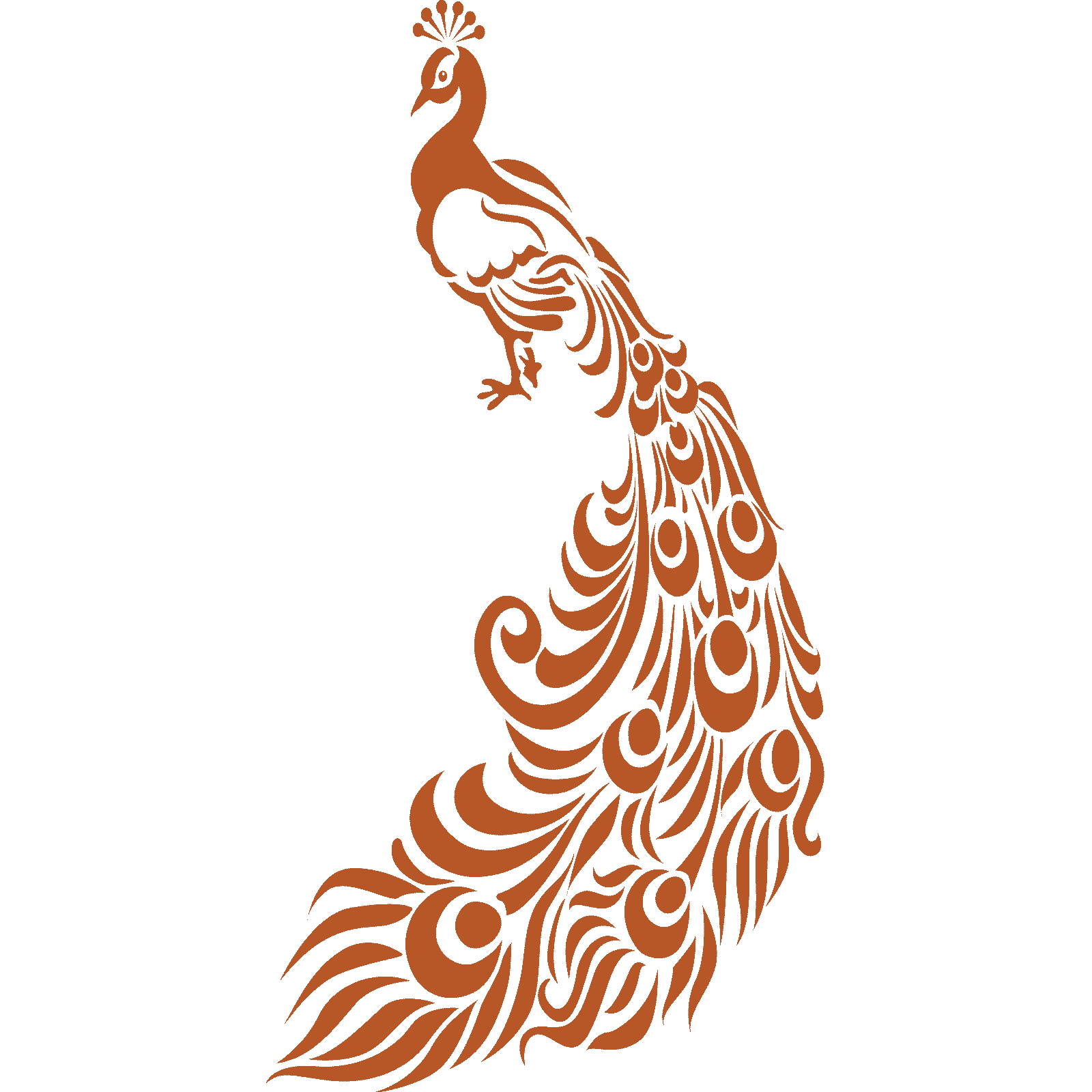 Ornate Peacock With Feathers Bird Wall Sticker Decal Transfer Home Matt Vinyl UK - Picture 29 of 36