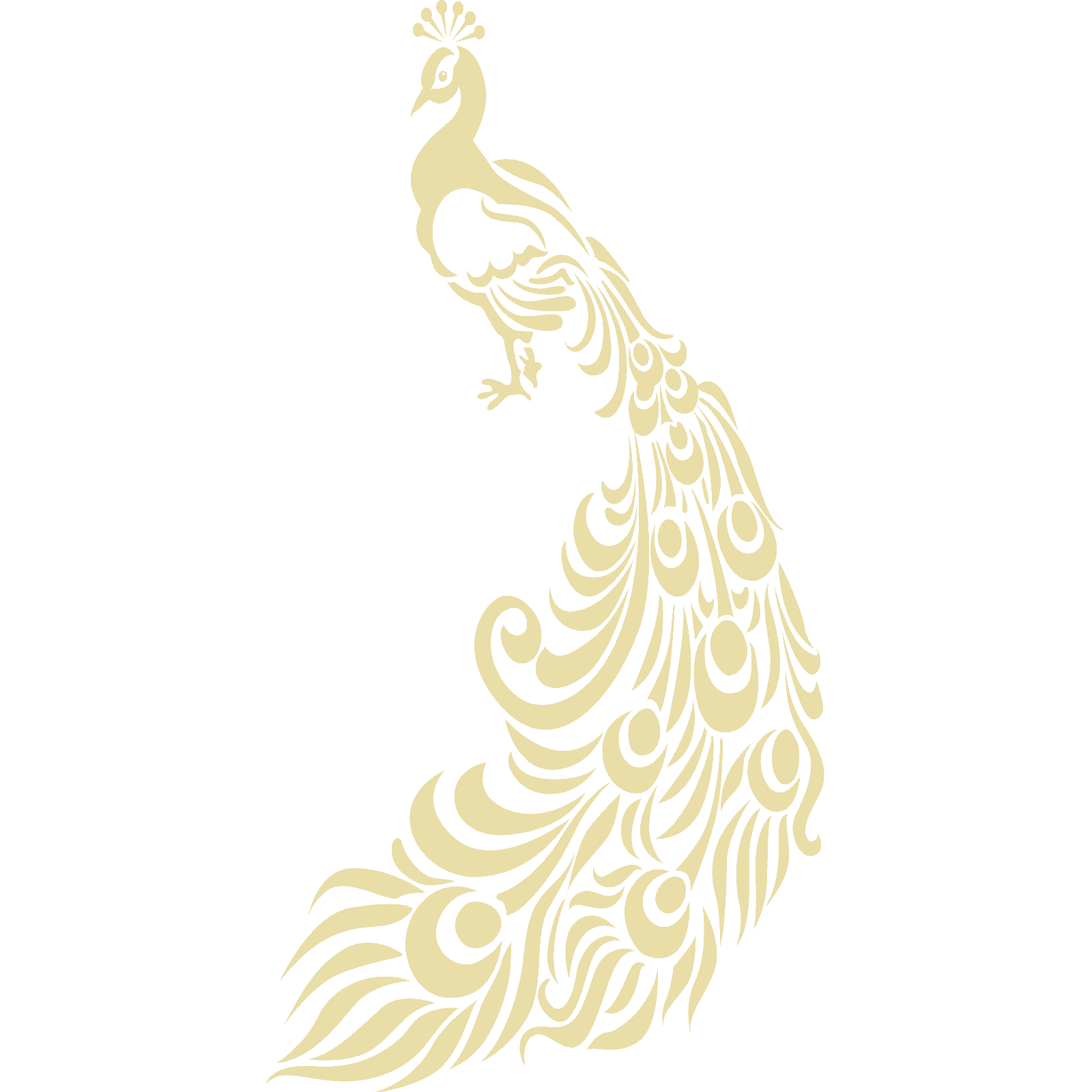 Ornate Peacock With Feathers Bird Wall Sticker Decal Transfer Home Matt Vinyl UK - Picture 30 of 36