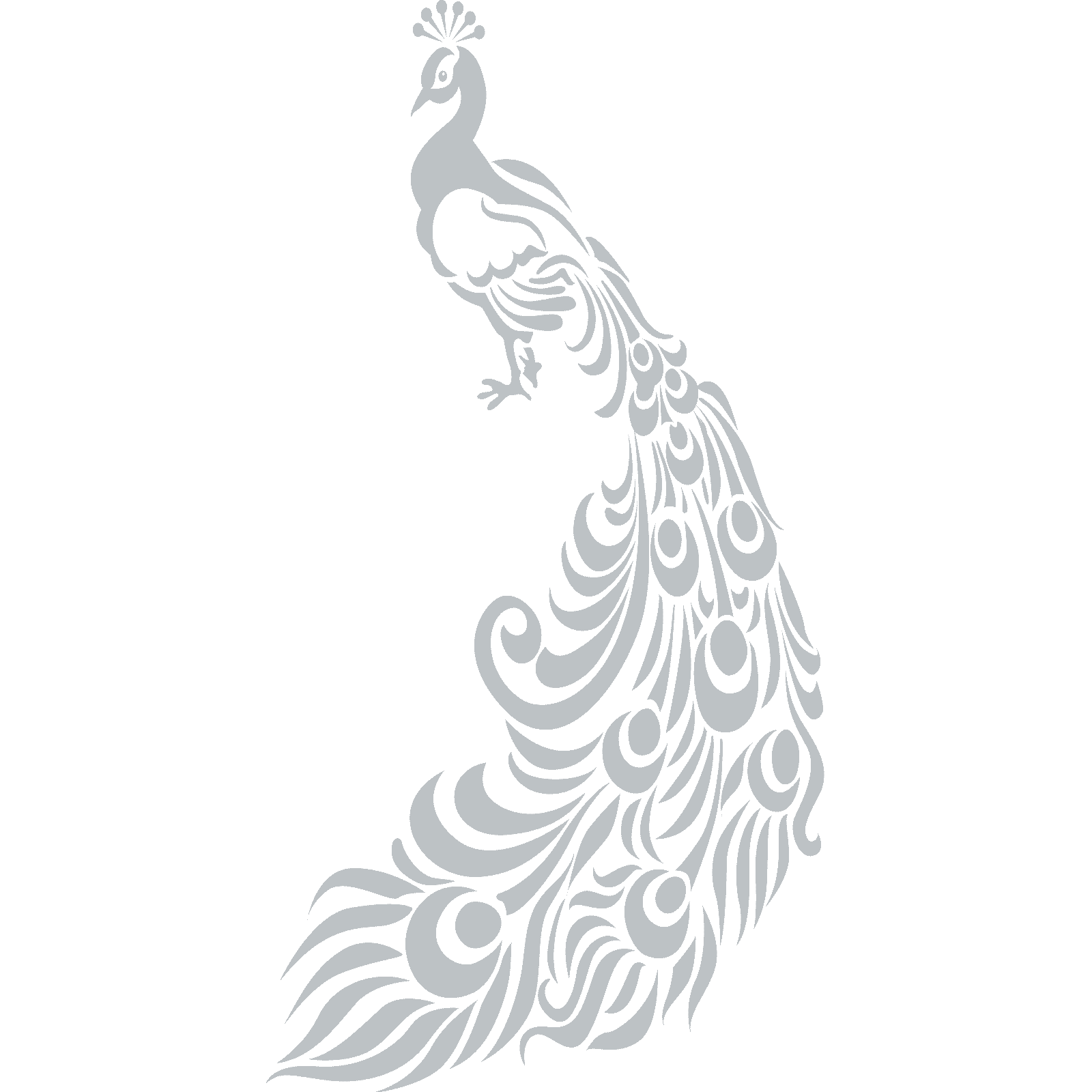 Ornate Peacock With Feathers Bird Wall Sticker Decal Transfer Home Matt Vinyl UK - Picture 31 of 36