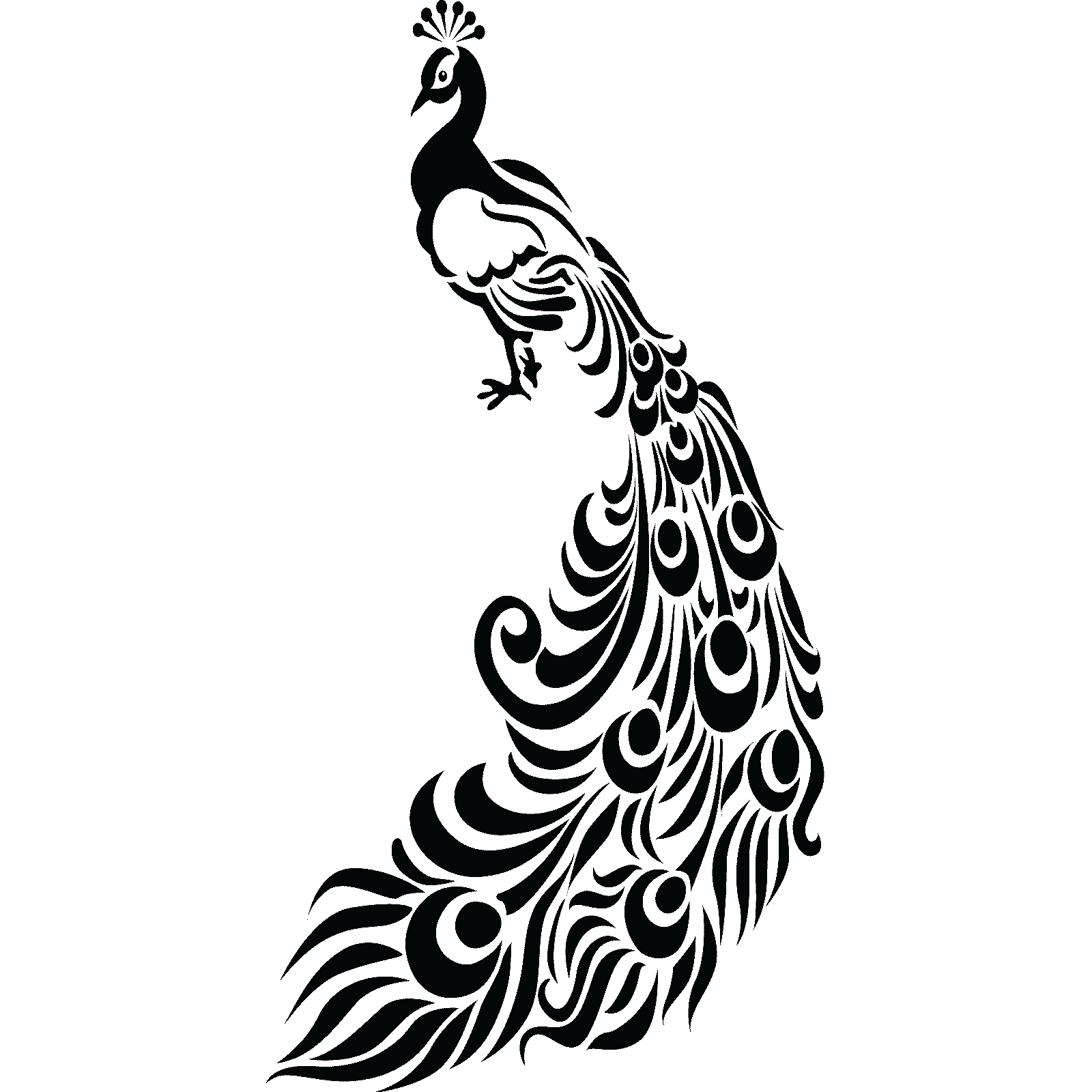 Ornate Peacock With Feathers Bird Wall Sticker Decal Transfer Home Matt Vinyl UK - Picture 33 of 36