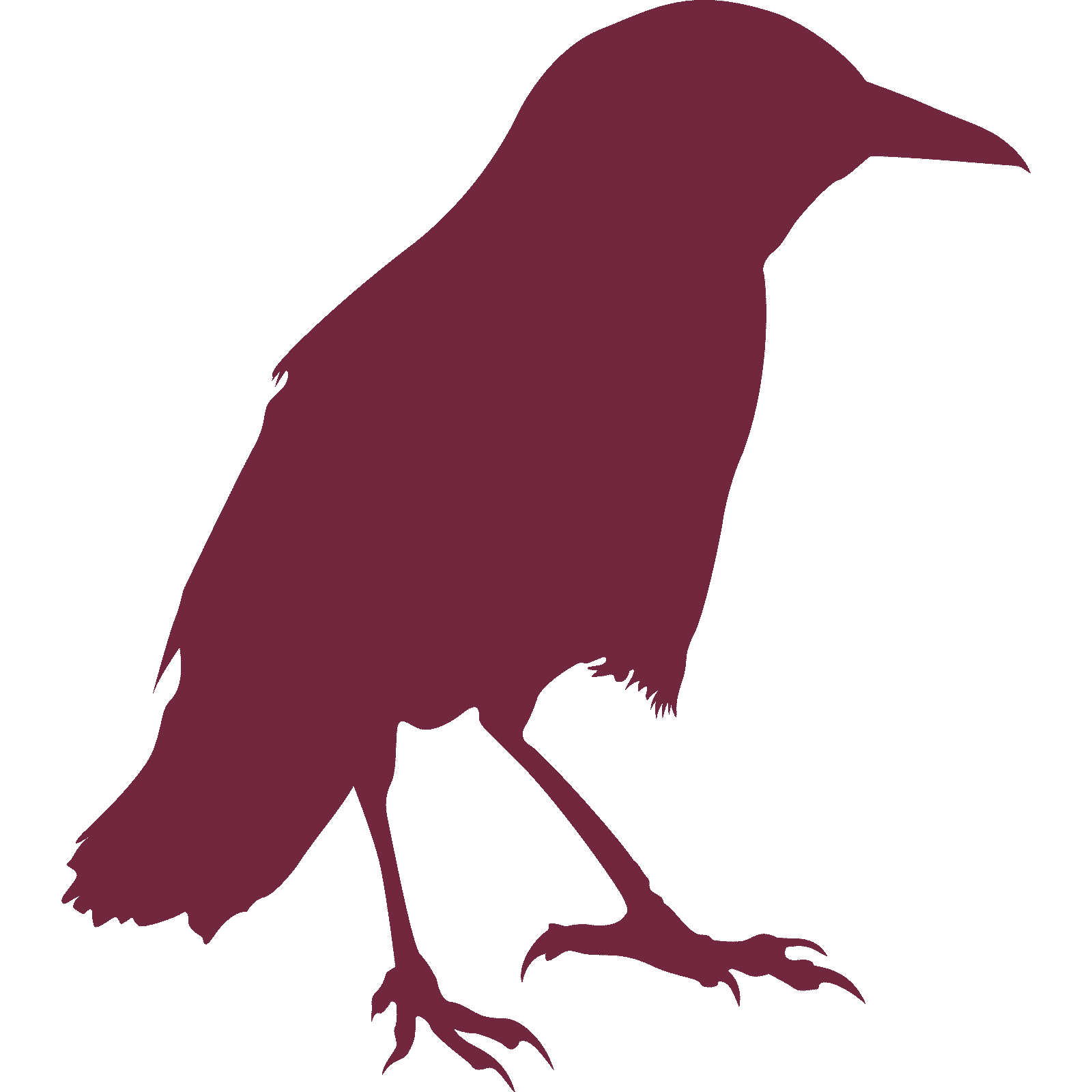 Standing Crow Raven Bird Silhouette Wall Sticker Decal Transfer Animal Vinyl UK - Picture 16 of 36