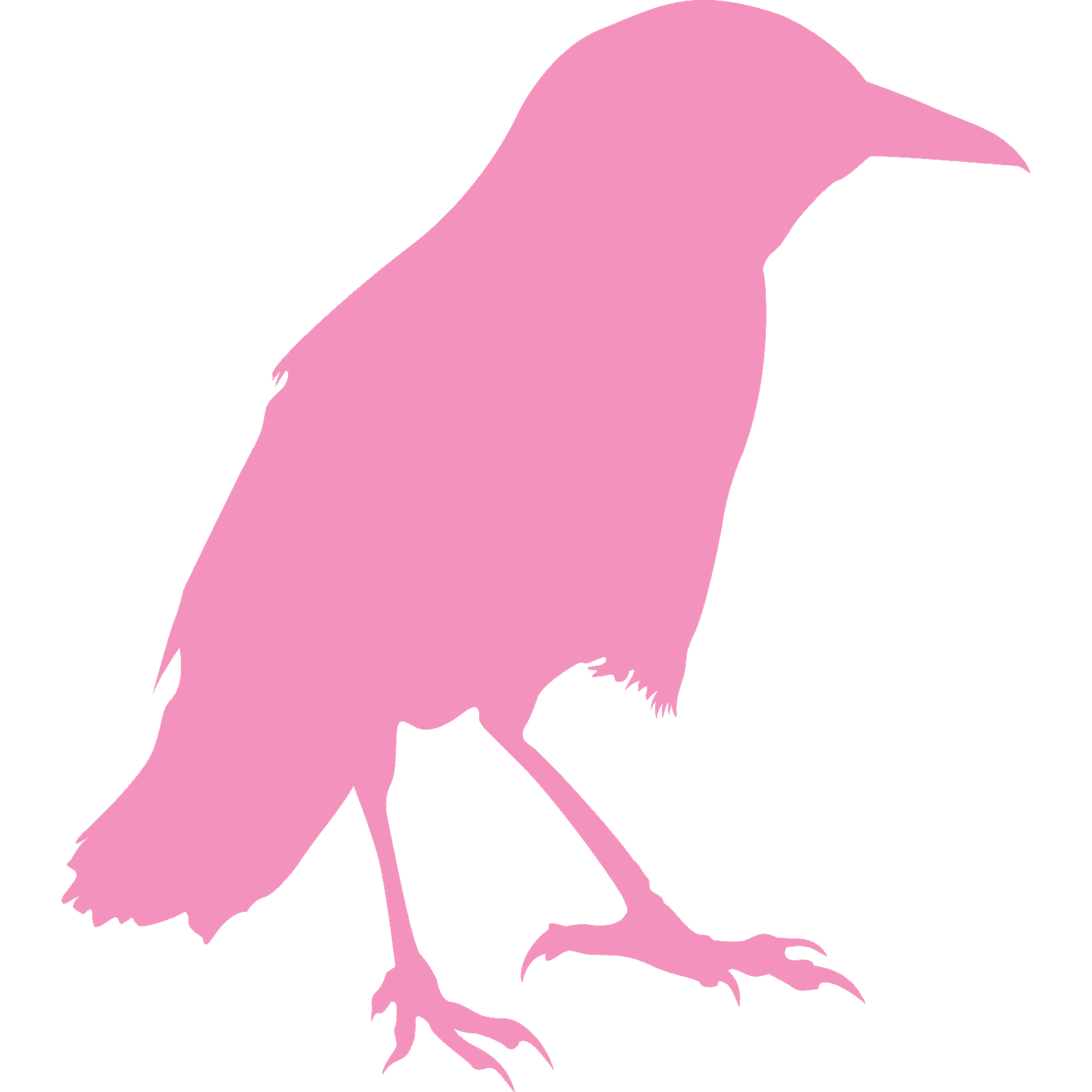 Standing Crow Raven Bird Silhouette Wall Sticker Decal Transfer Animal Vinyl UK - Picture 17 of 36