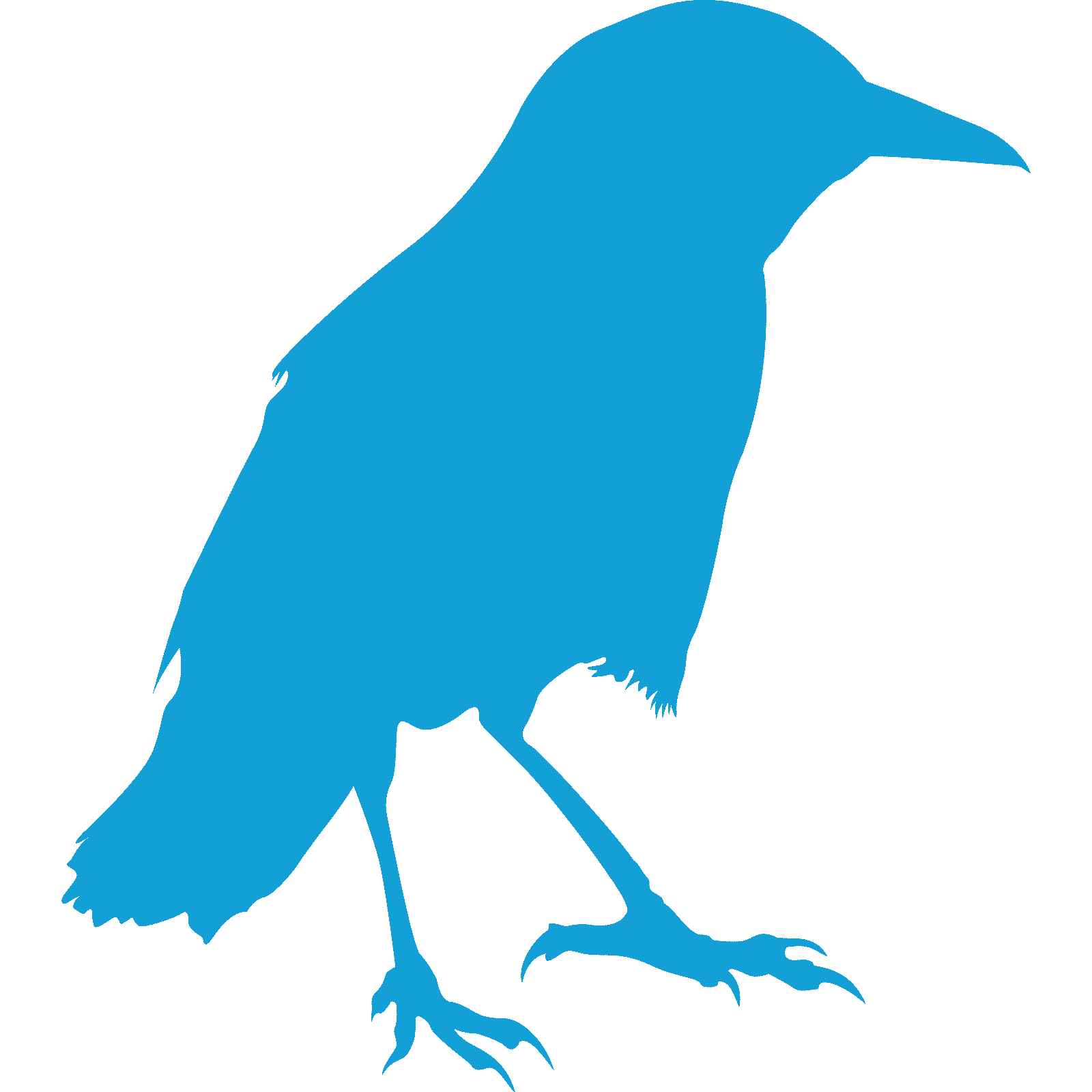 Standing Crow Raven Bird Silhouette Wall Sticker Decal Transfer Animal Vinyl UK - Picture 22 of 36