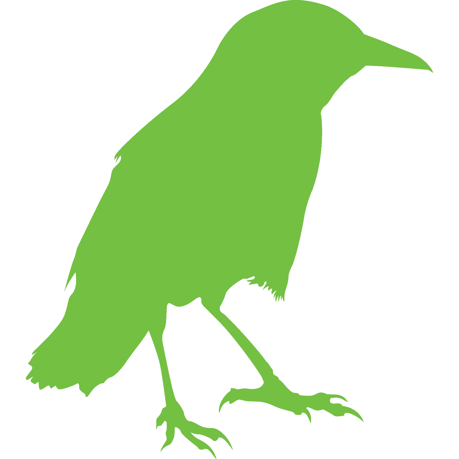 Standing Crow Raven Bird Silhouette Wall Sticker Decal Transfer Animal Vinyl UK - Picture 27 of 36