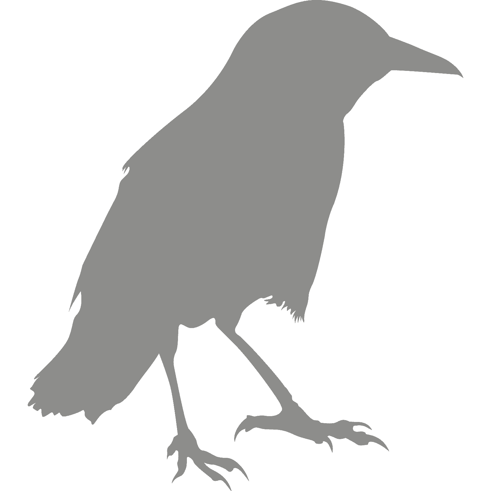 Standing Crow Raven Bird Silhouette Wall Sticker Decal Transfer Animal Vinyl UK - Picture 32 of 36