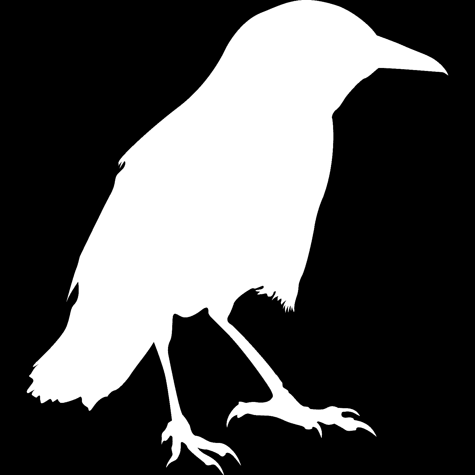 Standing Crow Raven Bird Silhouette Wall Sticker Decal Transfer Animal Vinyl UK - Picture 34 of 36