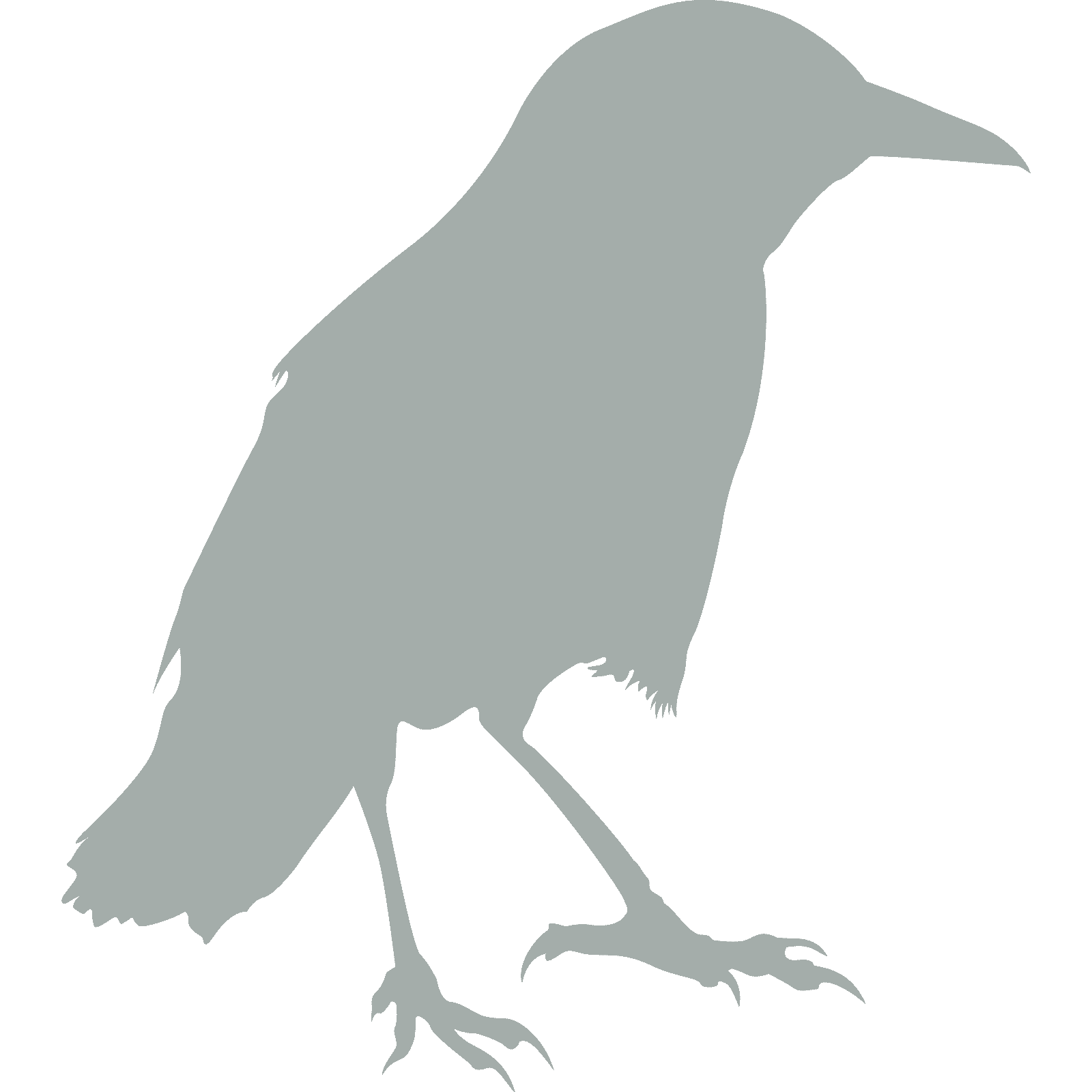 Standing Crow Raven Bird Silhouette Wall Sticker Decal Transfer Animal Vinyl UK - Picture 36 of 36