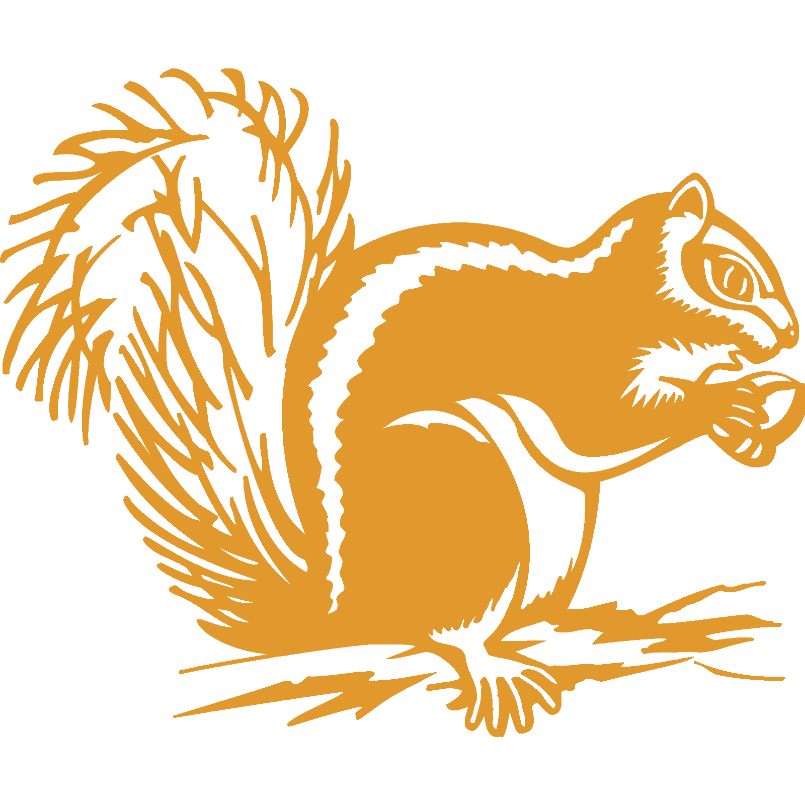 Eichhörnchen mit Eichel Tier Wandaufkleber Abziehbild Transfer Zuhause Natur Vinyl UK - Bild 14 von 36