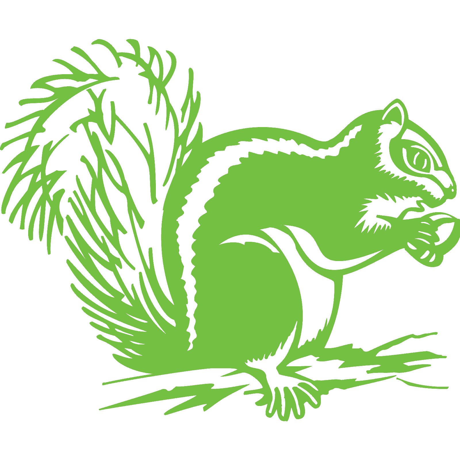 Eichhörnchen mit Eichel Tier Wandaufkleber Abziehbild Transfer Zuhause Natur Vinyl UK - Bild 27 von 36