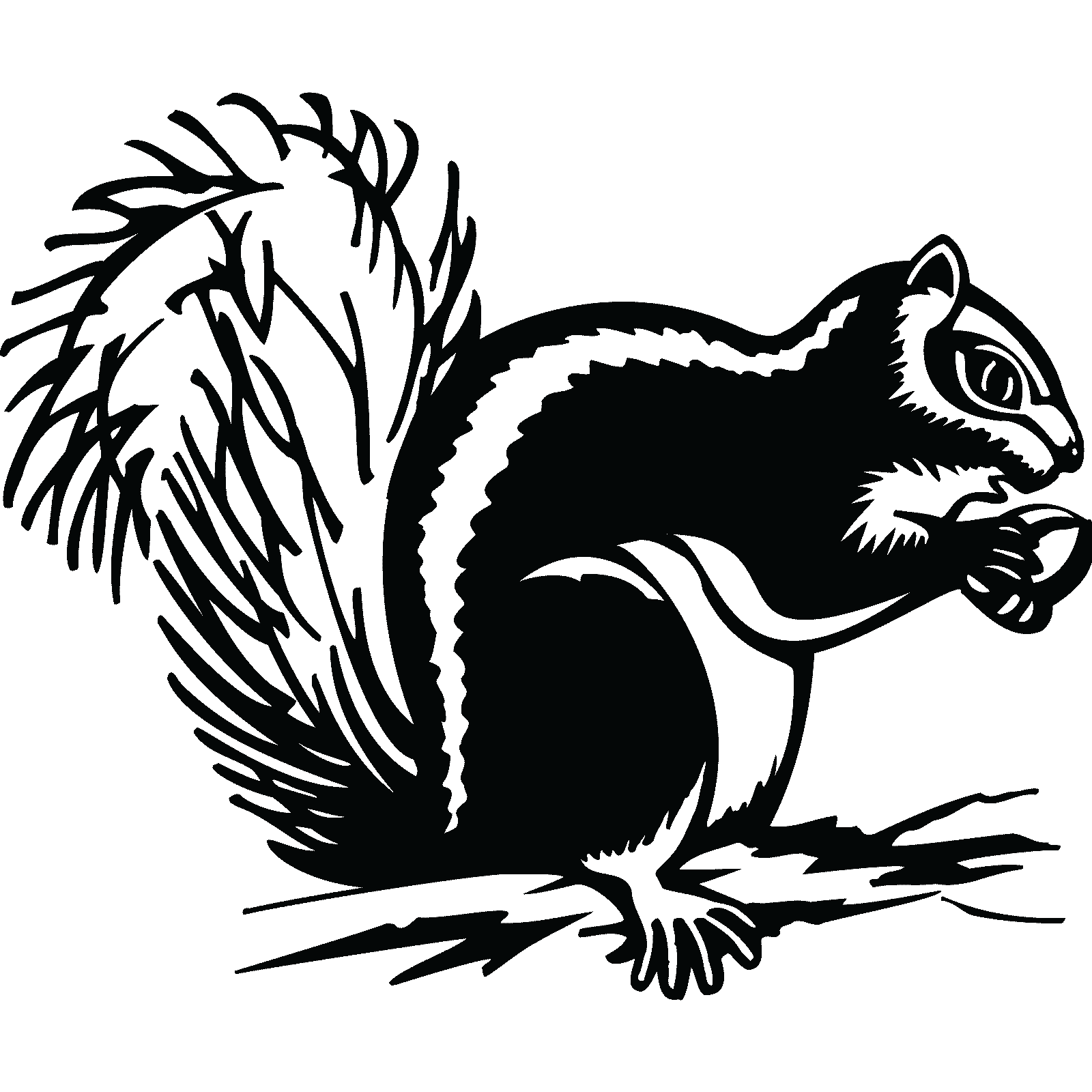 Eichhörnchen mit Eichel Tier Wandaufkleber Abziehbild Transfer Zuhause Natur Vinyl UK - Bild 33 von 36