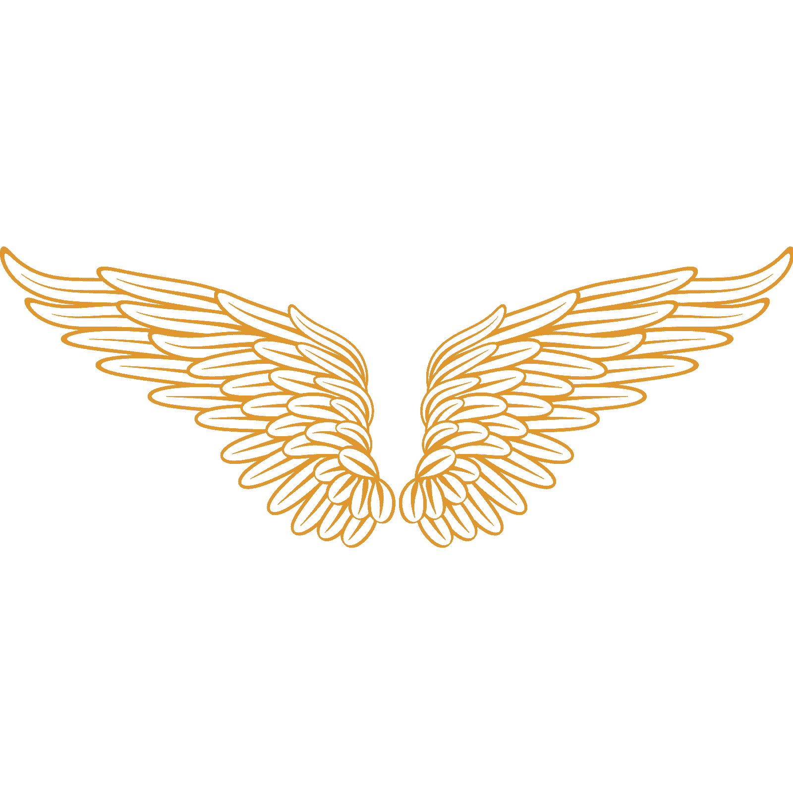 Calcomanía de pared Angel Wings v4 transferencia plumas cielo hogar dormitorio vinilo Reino Unido - Imagen 14 de 36