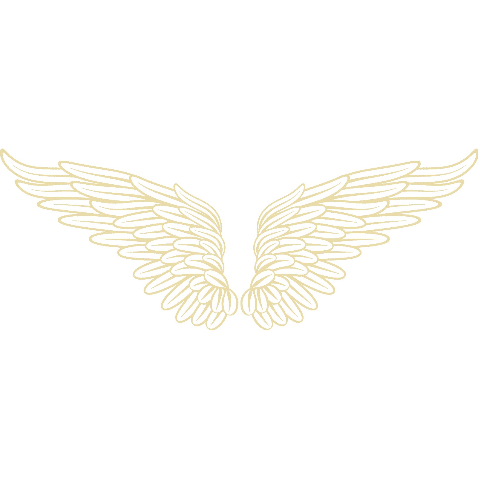 Calcomanía de pared Angel Wings v4 transferencia plumas cielo hogar dormitorio vinilo Reino Unido - Imagen 30 de 36