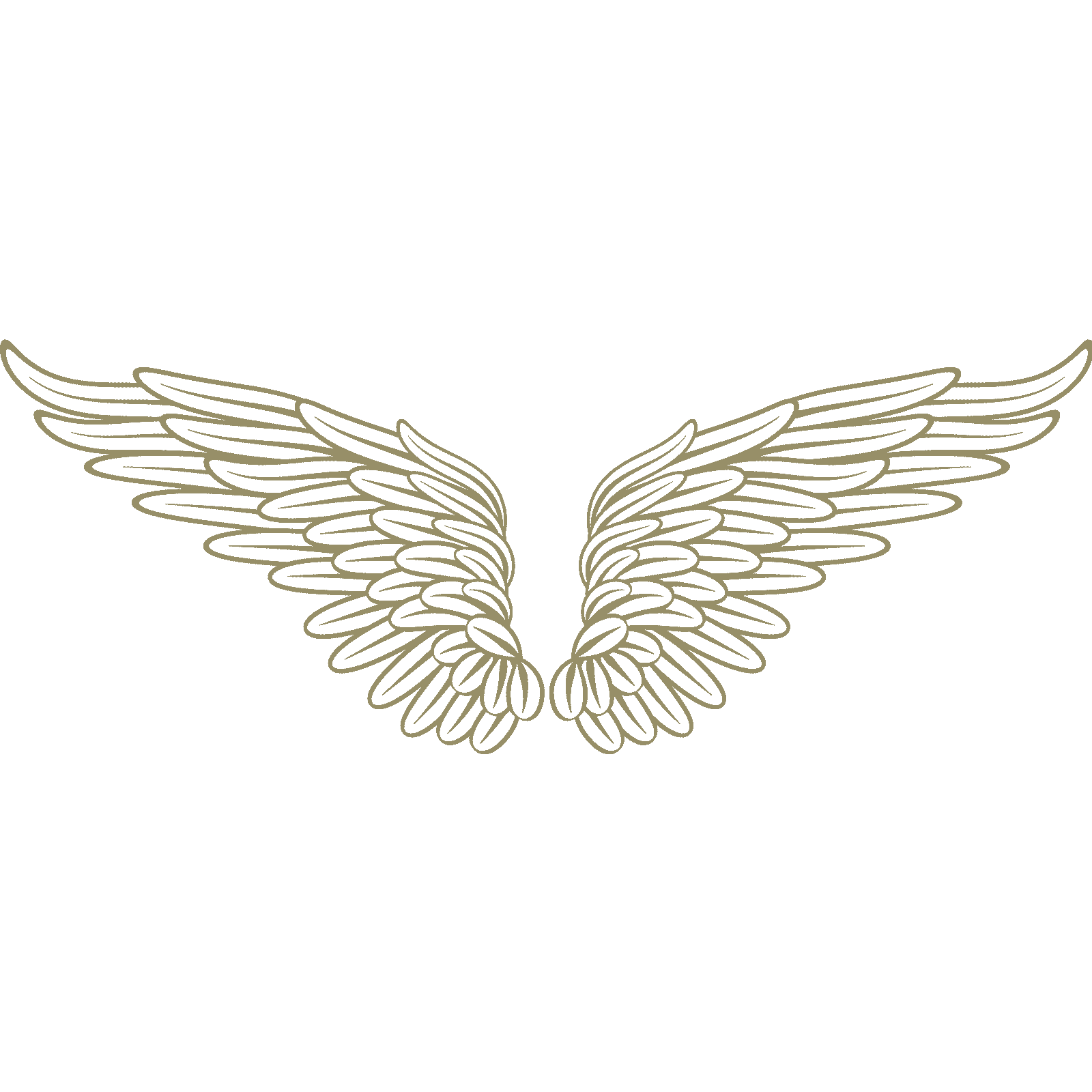 Calcomanía de pared Angel Wings v4 transferencia plumas cielo hogar dormitorio vinilo Reino Unido - Imagen 35 de 36