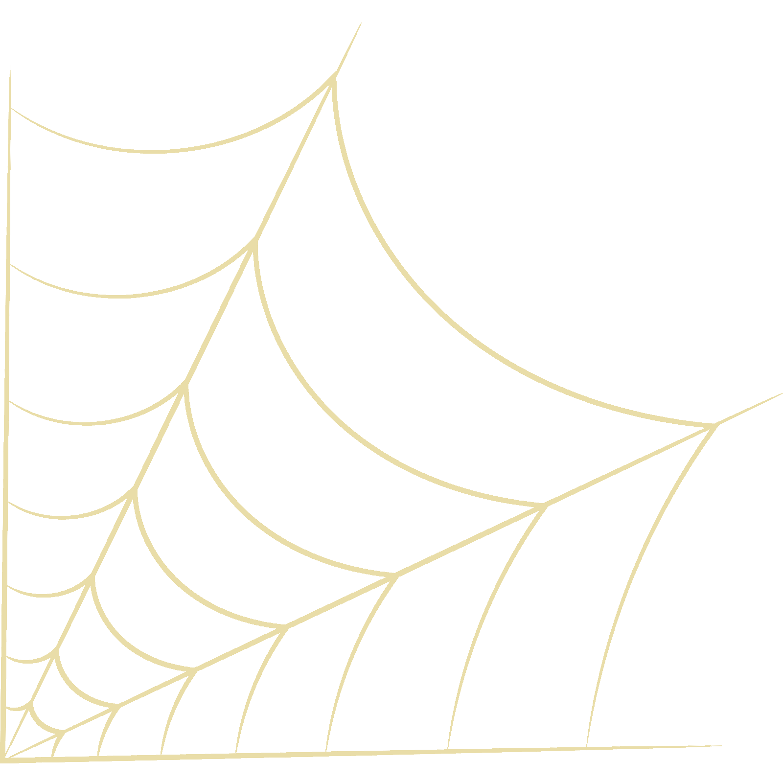 Spider Web v5 Wall Sticker Decal Animal Cobweb Kids Halloween Décor - Picture 30 of 36