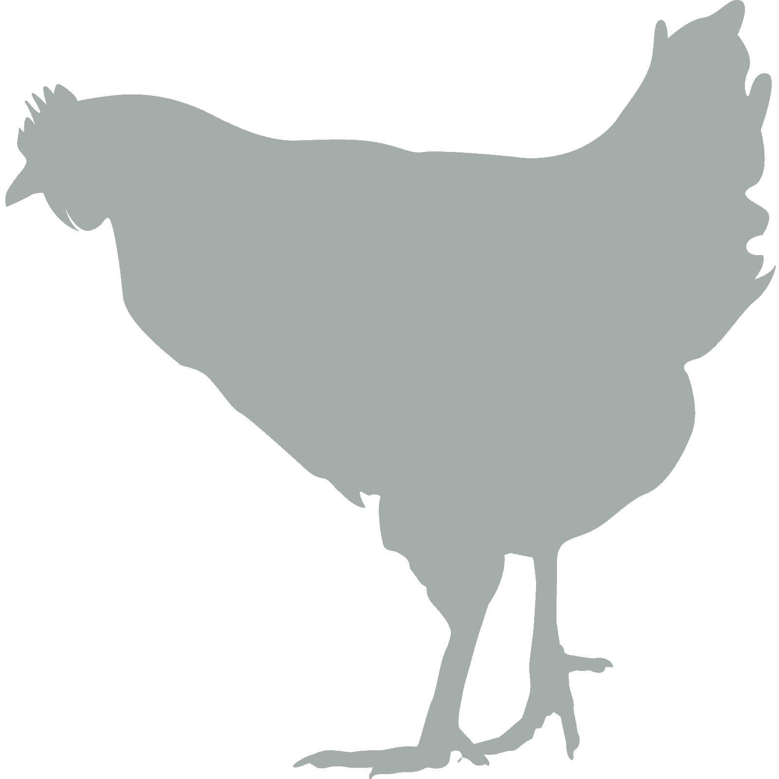 Calcomanía pegatina de pared silueta de pollo v6 animal gallina cocina granja niños decoración - Imagen 36 de 36